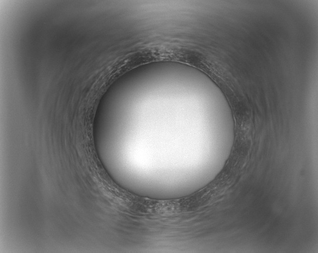 X0000059800865200510241326