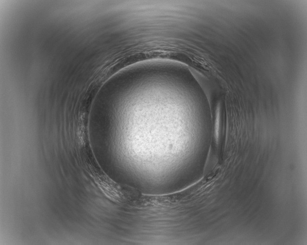 X0000059800868200510241326