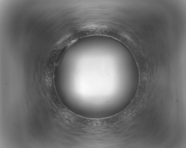 X0000059800869200510241326