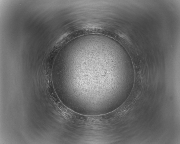 X0000059800870200510241326