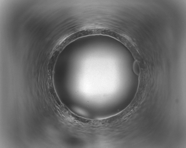 X0000059800871200510241326