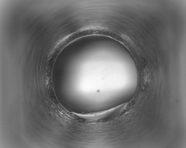 X0000059800872200510241326