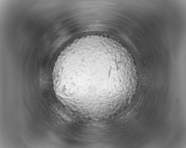 X0000059800874200510241326