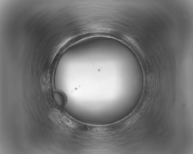 X0000059800875200510241326