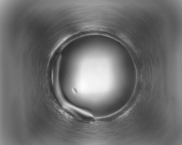 X0000059800877200510241326