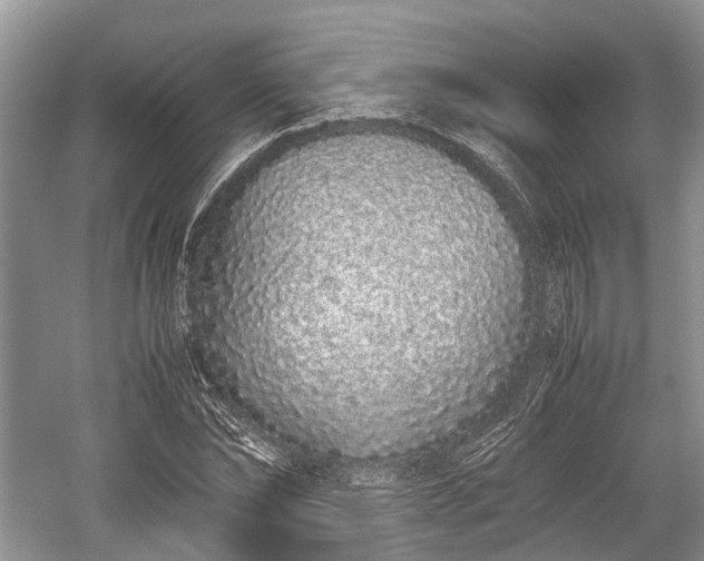 X0000059800878200510241326