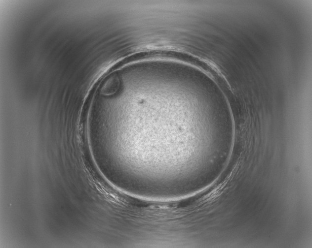 X0000059800879200510241326