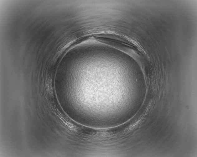 X0000059800881200510241326