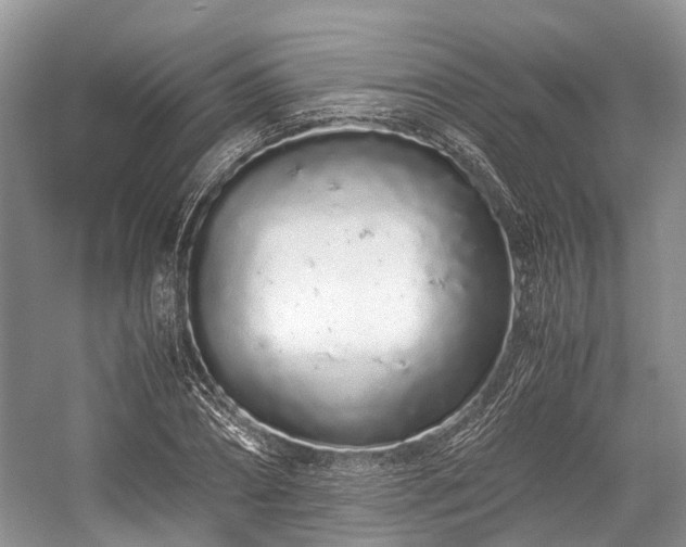 X0000059800882200510241326