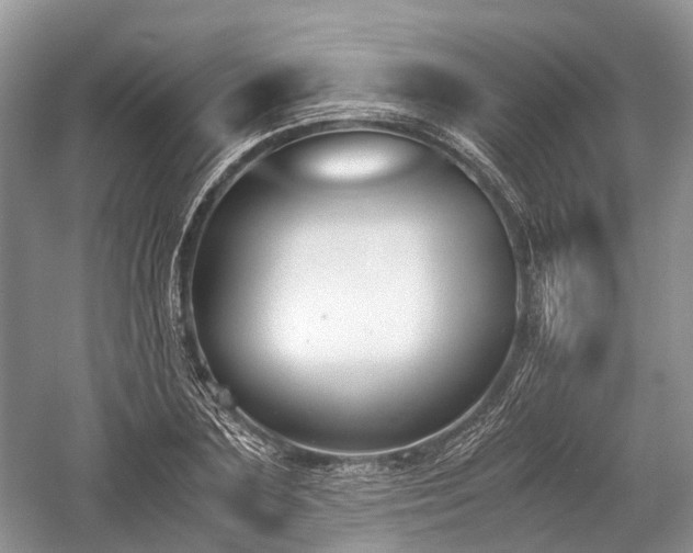 X0000059800883200510241326