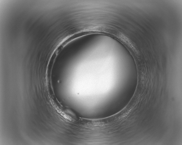 X0000059800884200510241326