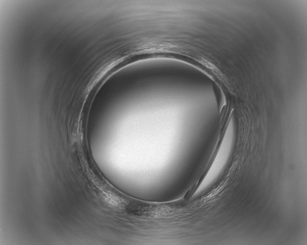 X0000059800885200510241326