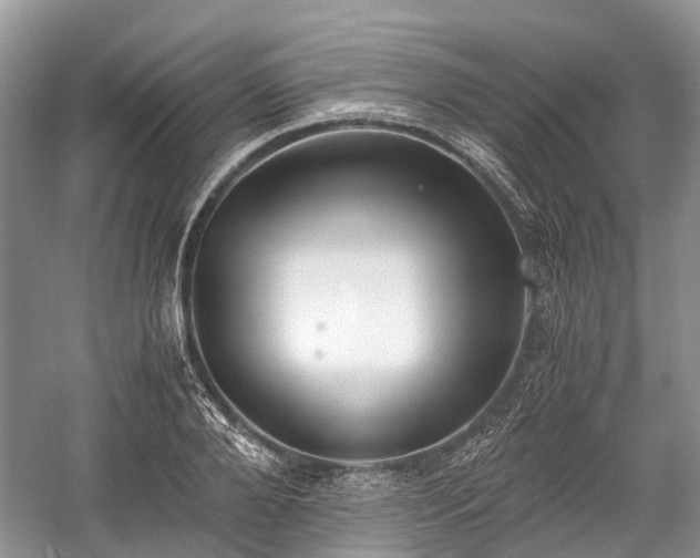 X0000059800888200510241326