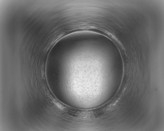 X0000059800889200510241326