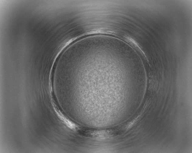 X0000059800892200510241326