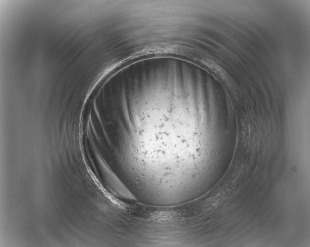 X0000059800894200510241326