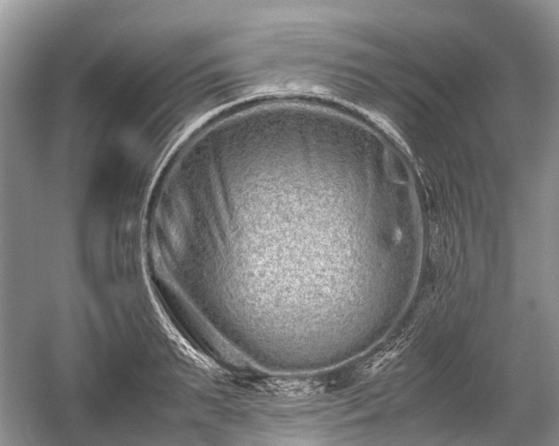 X0000059800895200510241326