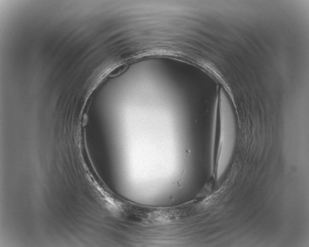 X0000059800898200510241326