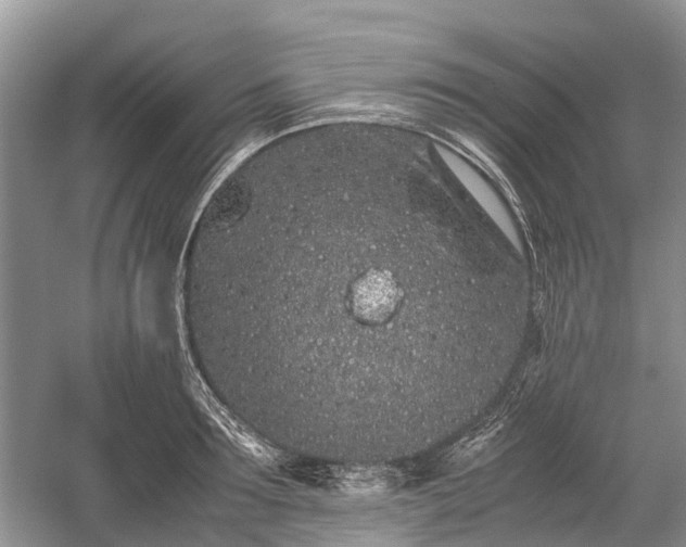 X0000059800899200510241326