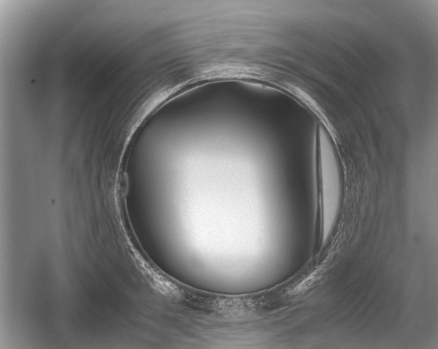 X0000059800901200510241326