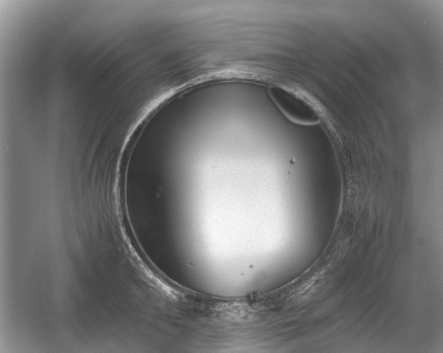 X0000059800902200510241326