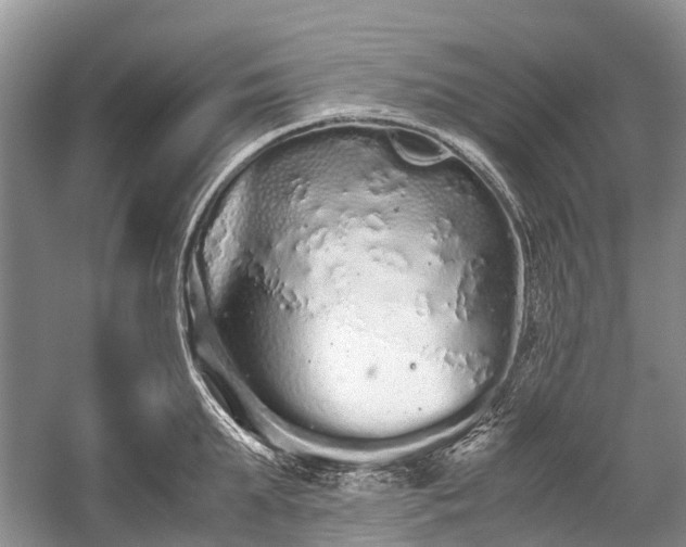 X0000059800903200510241326