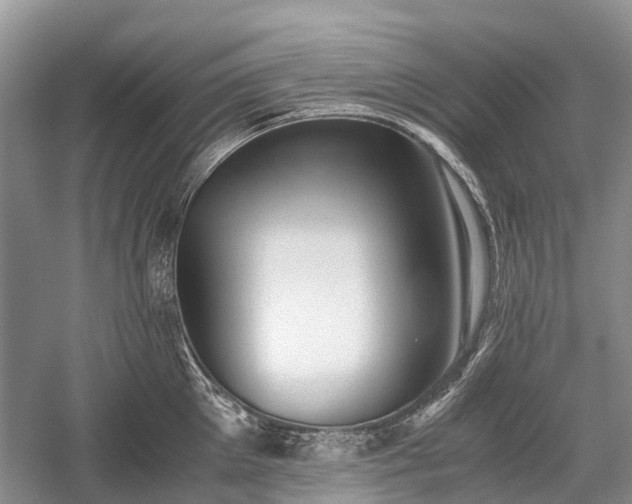 X0000059800905200510241326