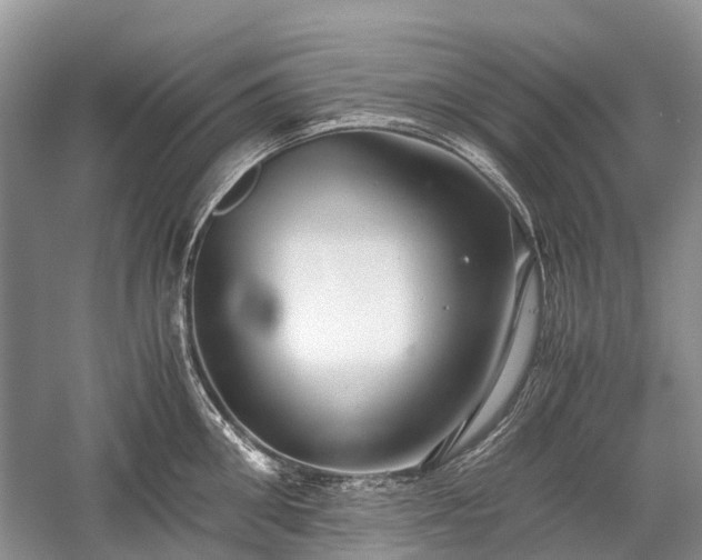 X0000059800906200510241326