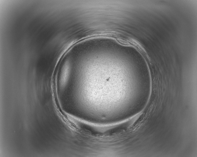 X0000059800907200510241326