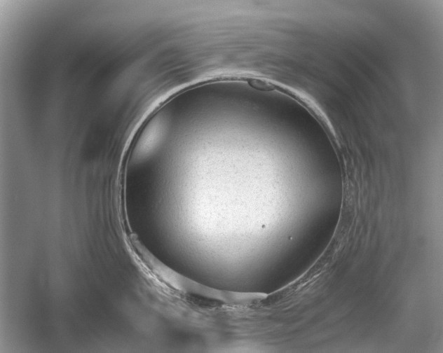 X0000059800911200510241326