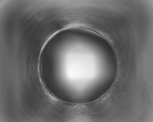 X0000059800912200510241326