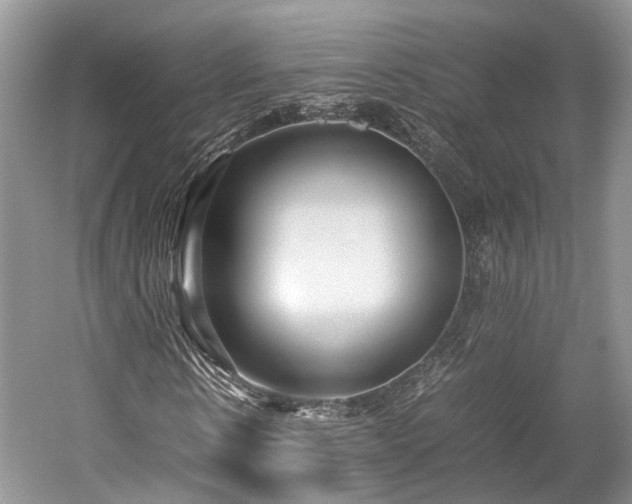 X0000059800914200510241325