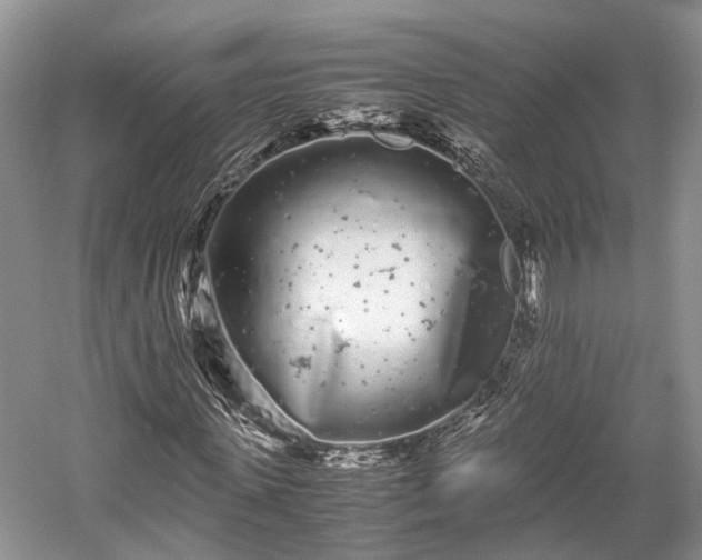 X0000059800915200510241325