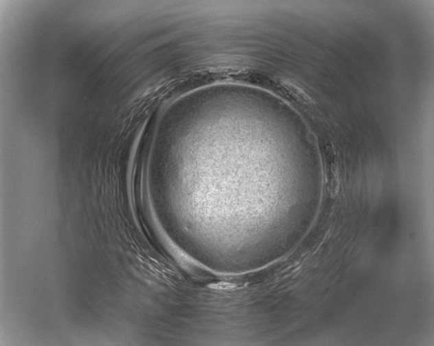 X0000059800917200510241325