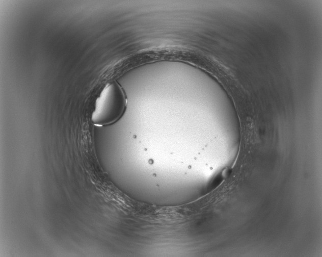 X0000059800918200510241325