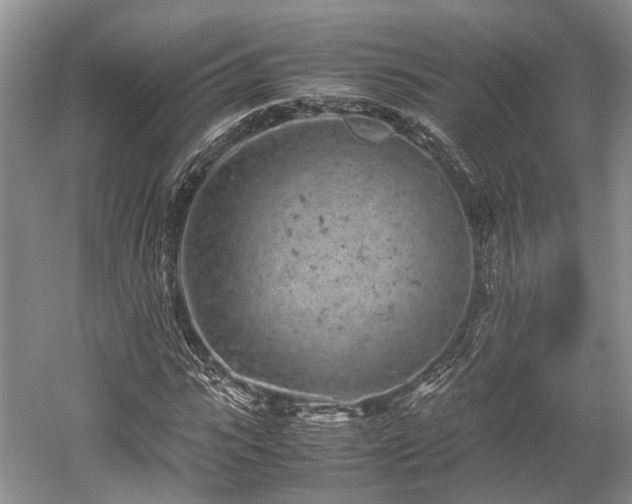 X0000059800919200510241325