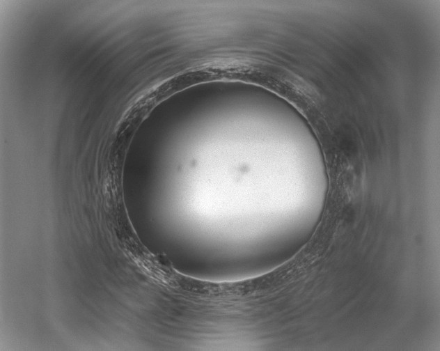 X0000059800920200510241325