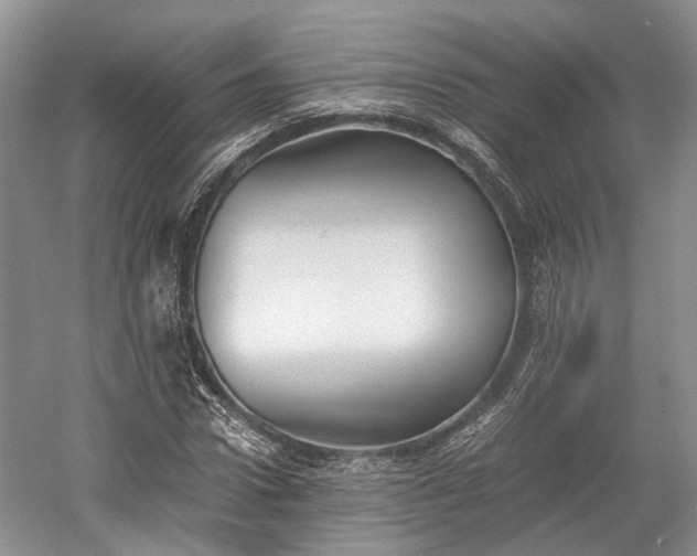 X0000059800922200510241325