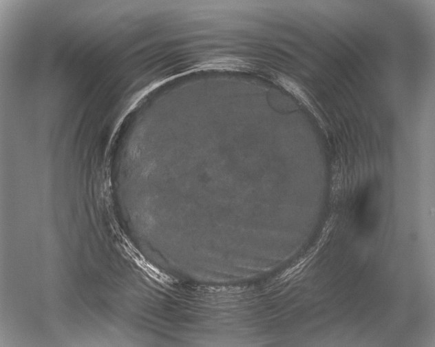 X0000059800923200510241325