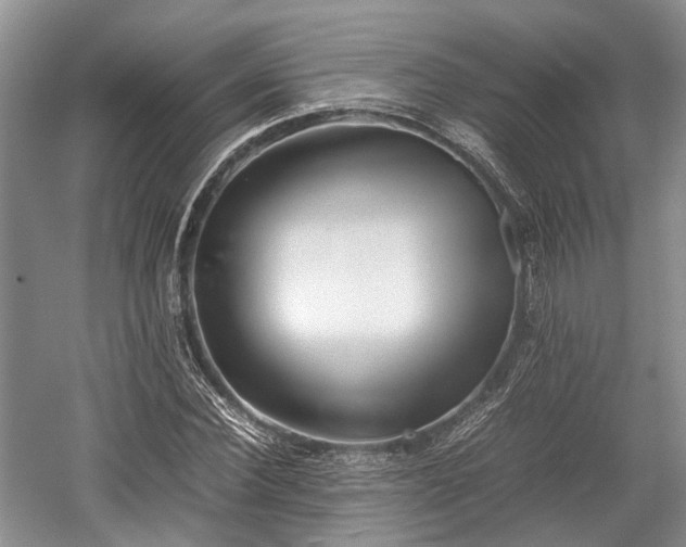 X0000059800924200510241325