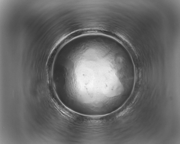 X0000059800925200510241325