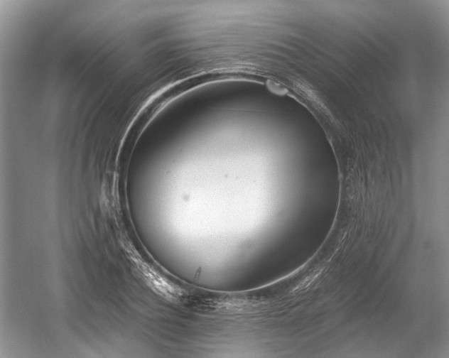 X0000059800932200510241325