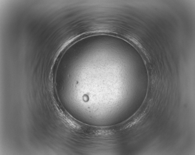 X0000059800933200510241325