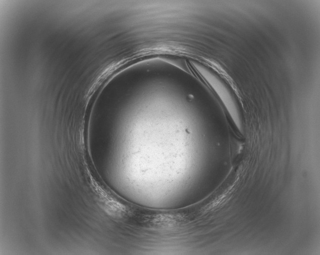 X0000059800938200510241325