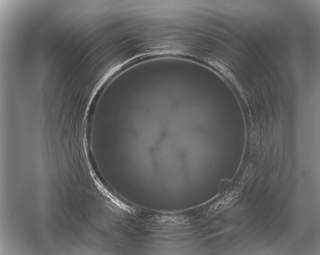 X0000059800941200510241325