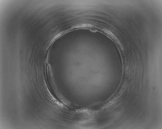 X0000059800945200510241325