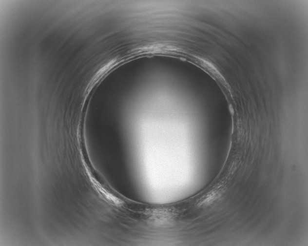 X0000059800946200510241325