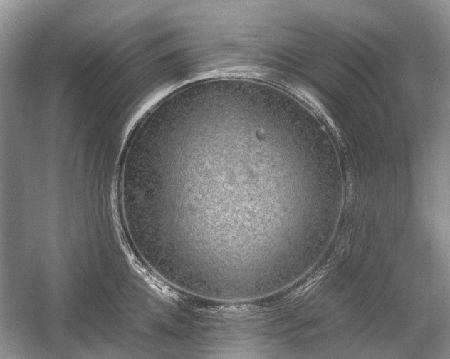 X0000059800952200510241326