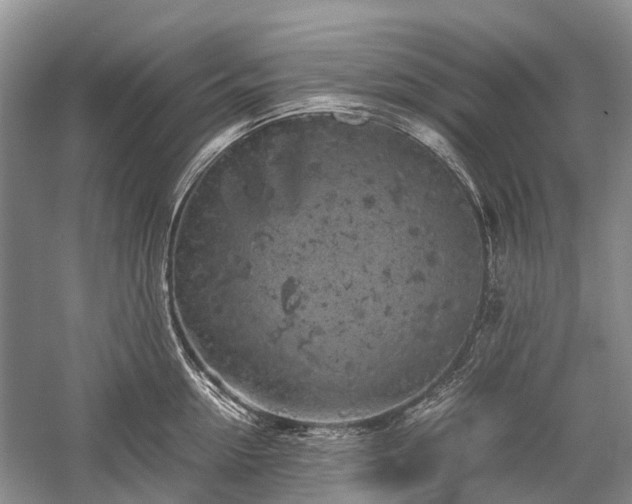 X0000059800954200510241326