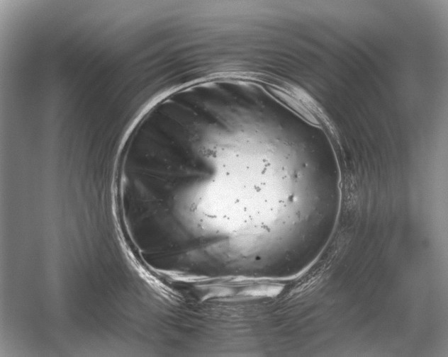 X0000059800955200510241326